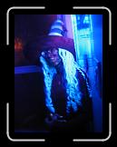 Thanksgiving and Halloween 110 * 2272 x 1704 * (1.31MB)
